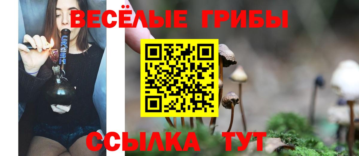 Галлюциногенные грибы мухоморы Звенигород