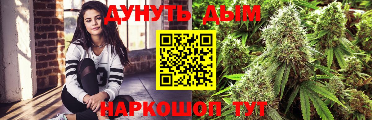 Конопля план Звенигород